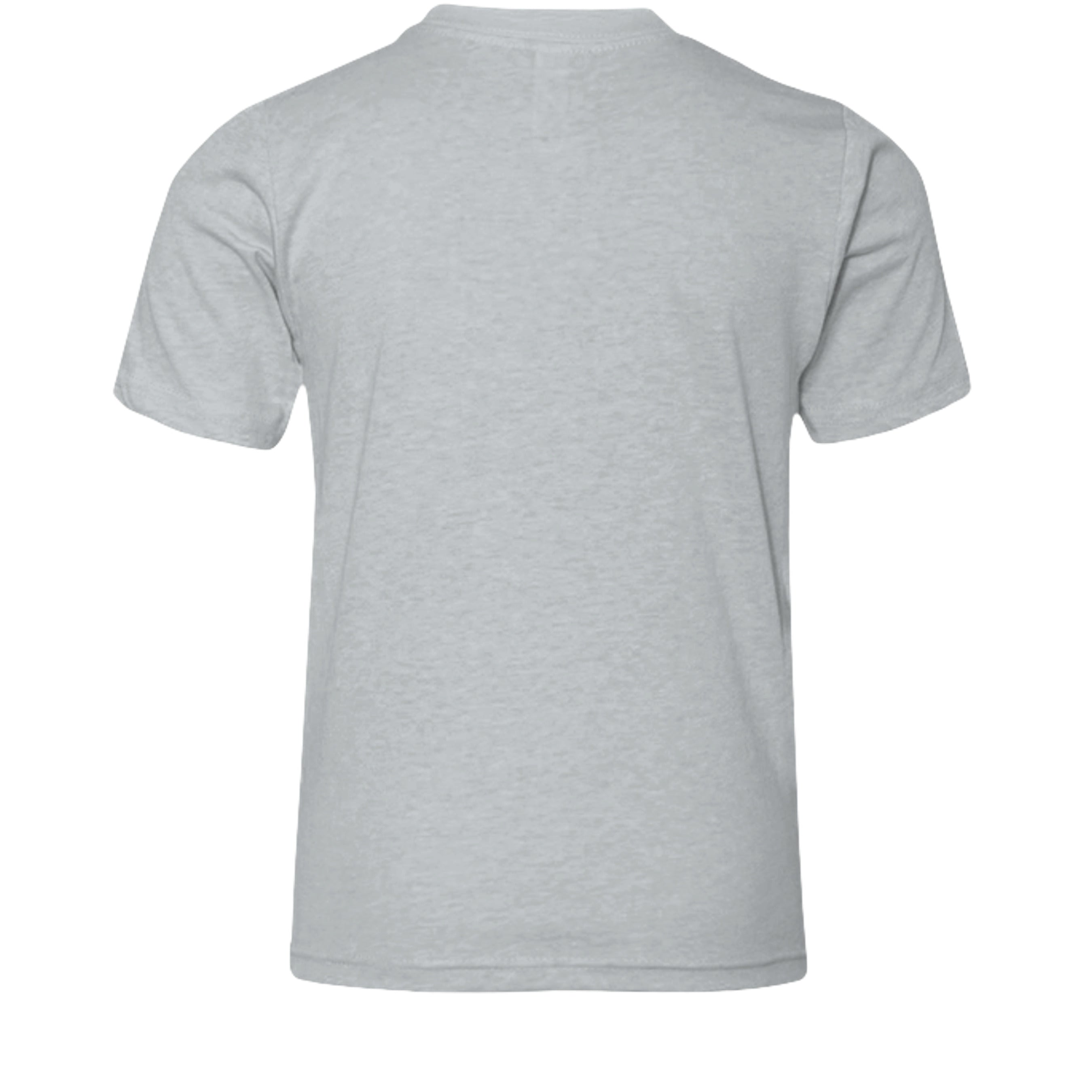 Athletic Heather - 3001YCVC - BACK
